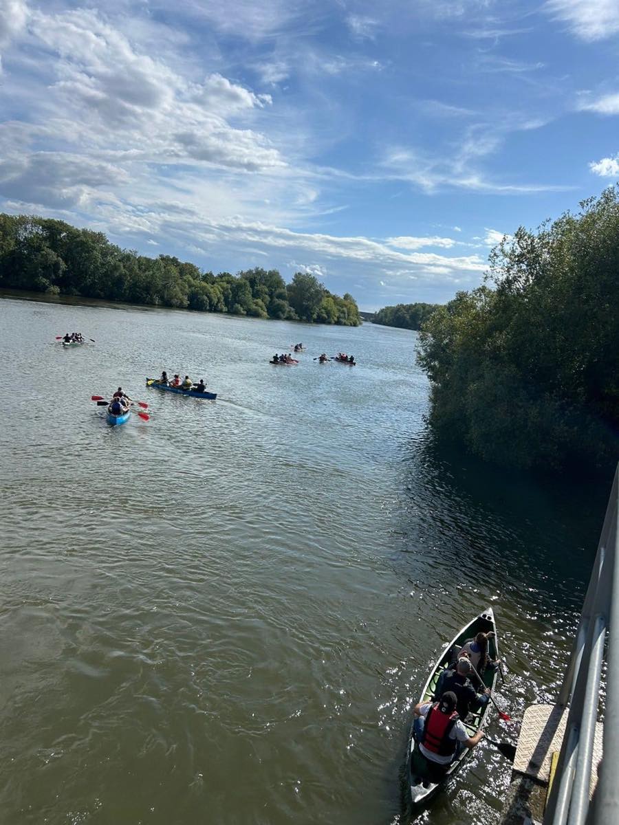 Sommer am Mainufer